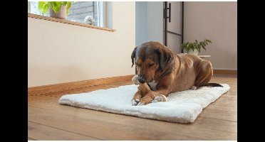 Beeztees Slingerbal - S