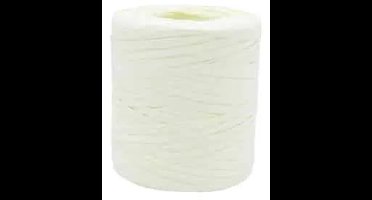 Papier Raffia Ivoor > 5/30mm x 200m | 1 Stuk