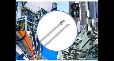 TRU COMPONENTS TC-12647568 Stalen kabelbinder 520 mm 4.6 mm AISI 304 100 stuk(s)