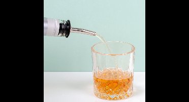 Schenktuit Drankfles – Shotjes Zonder Morsen – Zilver/Zwart – Past op Bijna Elke Fles – Roestvrij Staal en Siliconen