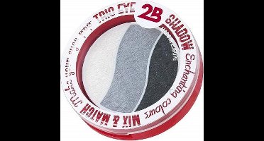 2B-Trio eye shadow Enchanting colours 01 white/grey/antracite