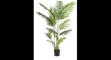 Emerald - Kunstplant Paradise Palm 160cm - Kunstplant voor binnen