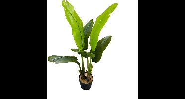 Kunstplant Strelitzia in Pot - 90 cm