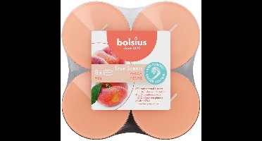 Bolsius - True Scents - Maxi - Geurtheelichten - 8 stuks per verpakking - Clear cup - Peach