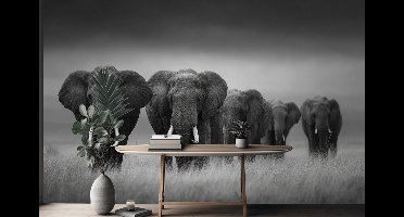 Naadloos behang Fotobehang - Majestic Elephant Parade - 250x300 centimeter