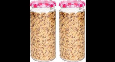 Plasticforte Weckpot/inmaakpot Classic - 2x - 550ml - kunststof - draaideksel - roze - D7 x H16 cm