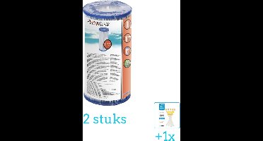 Bestway Flowclear - Filter Cartridge (III) - 2 stuks - Voordeelverpakking - Inclusief WAYS Testrips (1 stuks) - Type 3 - Type III filter - Geschikt voor 58389 Pomp