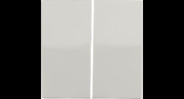 ION | Bedieningswip Serieschakelaar | Alpin wit | E1 Serie