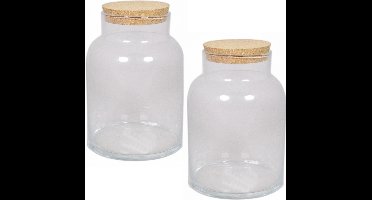Floran terrarium vaas - 2x - glas - 8 liter - met kurk deksel - 18 x 27 cm - Plantenpot van glas