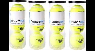 12x Tennisballen in koker - Buitenspeelgoed - Tennissen