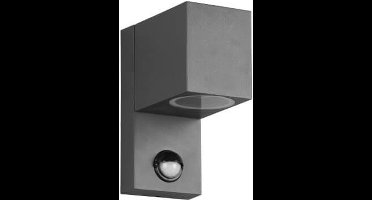 TRIO ROYA - Wandlamp - Antraciet - excl. 1x GU10 4,9W - Buitenverlichting - IP44