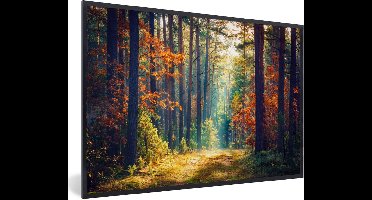 PosterMonkey - Fotolijst - Bos - Bladeren - Natuur - Herfst - Poster - Kader - 60x40 cm - Poster frame - Poster bos - Foto lijst - Poster natuur - Kerstversiering - Kerstdecoratie voor binnen - Kerstmis