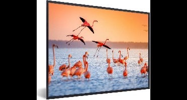 PosterMonkey - Poster - Fotolijst - Vogel - Flamingo - Zonsondergang - Water - Tropisch - 40x30 cm - Poster in lijst - Poster flamingo - Poster frame - Poster dieren
