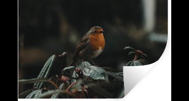 Muurstickers - Sticker Folie - Vogel - Roodborstje - Plant - 30x20 cm - Plakfolie - Muurstickers Kinderkamer - Zelfklevend Behang - Zelfklevend behangpapier - Stickerfolie
