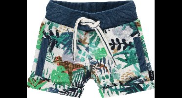 Noppies Sweatshort Athol dinoprint
