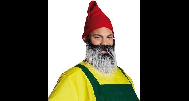 Rubie's Dwergenbaard Heren One Size Grijs