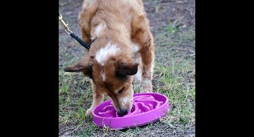 Voerbak slo-bowl mini bloem paars 22x22x5 cm