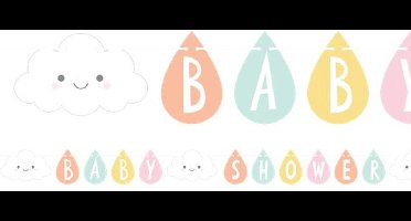 Witbaard Wenslijn Baby Shower Lengte 260 Cm Karton