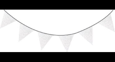 Haza Original Vlaggenlijn Glitter Zilver 6 Meter