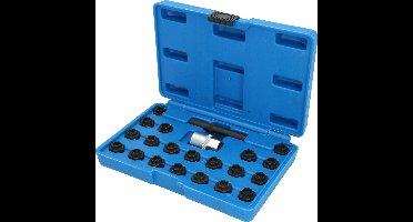BRILLIANT TOOLS Velgbeveiliging set voor BMW 22 stuks - BT691050