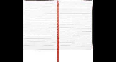 B5 notitieboekje Essential Storyline