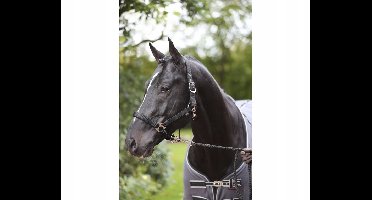 Kantar Dexter met fleece voering voor veulens, zwart, maat 00