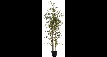Vente-unique Kunstbamboe met natuurlijke stam - H160 - MUCURI