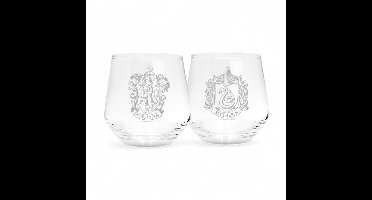 Harry Potter Gryffindor & Slytherin Unisex Glazenset - doorzichtig - Standard