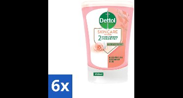 Dettol - Wasgel Navulling - Skincare - Rozenwater & Sheaboter - 250 ml - Voordeelverpakking - 6 stuks