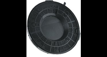 Sauter Koolstoffilter