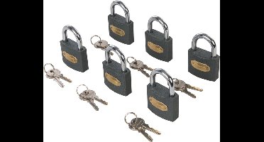 Silverline IJzeren hangslot - gelijksluitend - heavy duty - 50 mm - set van 6