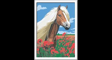 Ravensburger Schilder op Nummer 3in1 Set Dieren
