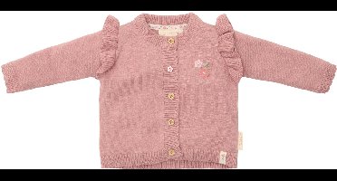 Gebreid vestje - Roze - Fairy Garden-56