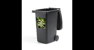 Container sticker Karwij - Foto van een eenzame karwij bloem in de natuur Klikosticker - 40x40 cm - kliko sticker - weerbestendige containersticker