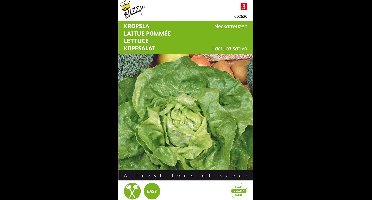 Buzzy Zaden - Kropsla Zomerdiamant - Lactuca sativa