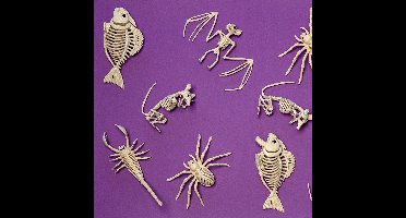 Boland - Decoratie Skelet rat Cheddar - Horror - Horror