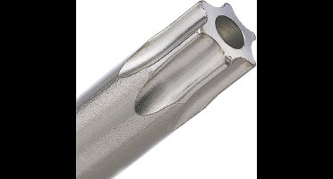 Rotec PRO Krachtbit T 25 L=50, E6.3, tamper-resist., BASIC (vpe 2)
