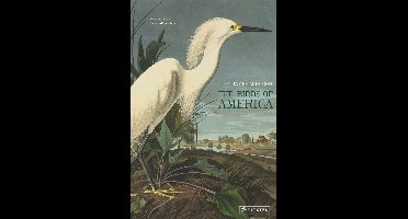 The Birds of America