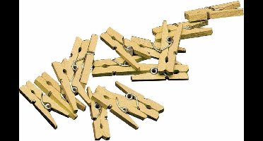 Mini knijpertjes - 20x - goud - 2 cm - hout - knijpers - miniknijpers voor kaarten - kaarten ophangen