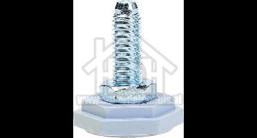 Gorenje Stelvoetje M10, verstelbaar WY62Y1, KWA61061, WA64143, WA82125 499533