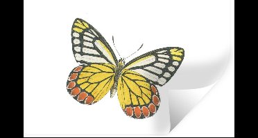 Muurstickers - Sticker Folie - Geel - Vlinder - Oranje - 30x20 cm - Plakfolie - Muurstickers Kinderkamer - Zelfklevend Behang - Zelfklevend behangpapier - Stickerfolie