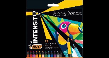 BIC viltstiften Intensity luxe box 12 kleuren premium set.