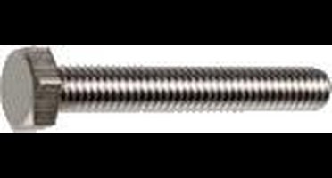 Tapbout RVS  A2 M6x10mm (doos a 200st) Din933