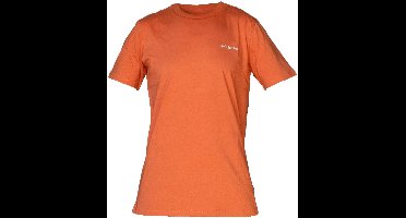 Columbia Rapid Ridge Back Graphic Tee II, Mannen, Oranje, T-shirt, maat: M