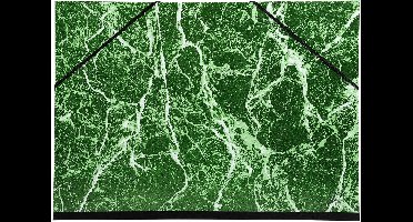 Exacompta 10x Tekenmap gemarmerd vernist papier met elastieken 32x45 - A3 - Groen - 632E