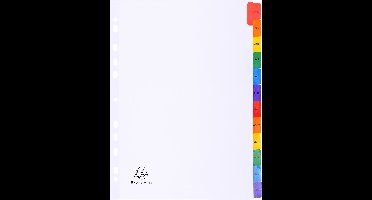 Exacompta 20x Tabbladen karton 160g - versterkte gekleurde tabs + inbdexblad - 12 tabs - januari/december A4 - Wit - 1113E