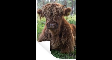 Muurstickers - Sticker Folie - Schotse Hooglander - Pad - Dieren - 20x30 cm - Plakfolie - Muurstickers Kinderkamer - Zelfklevend Behang - Zelfklevend behangpapier - Stickerfolie