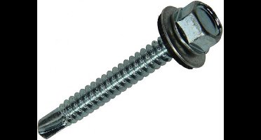 Mack Zelfb. schroef zeskt kop epdm vz 6.3x50 100st