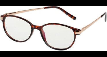 Spectrum Computerbril Vlam 1.00