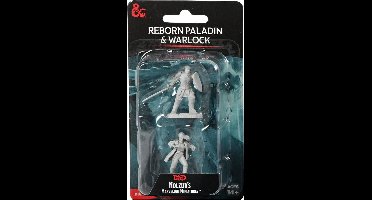 D&D Nolzur's Marvelous Miniatures Reborn Paladin & Warlock